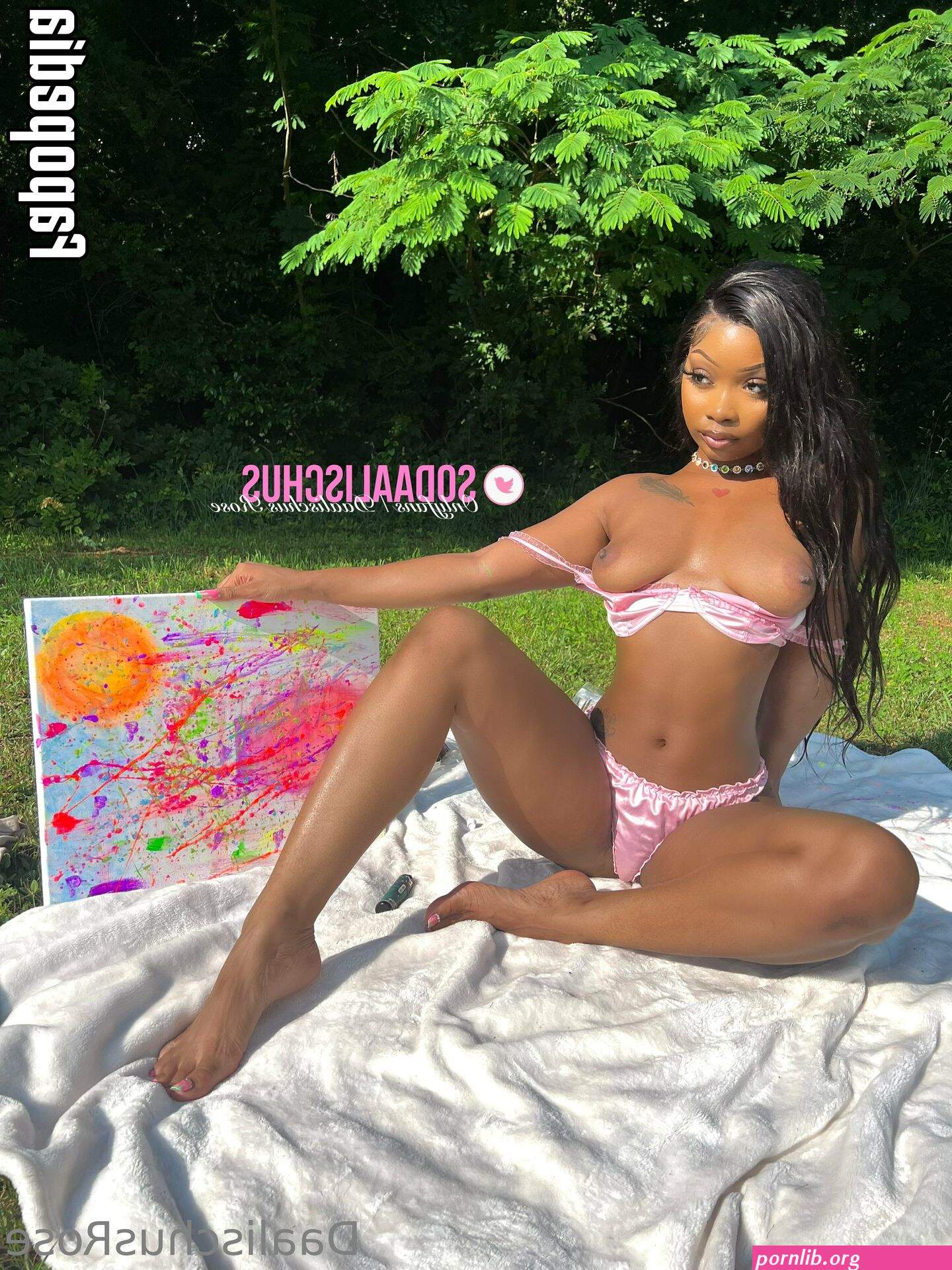 daalischusrose