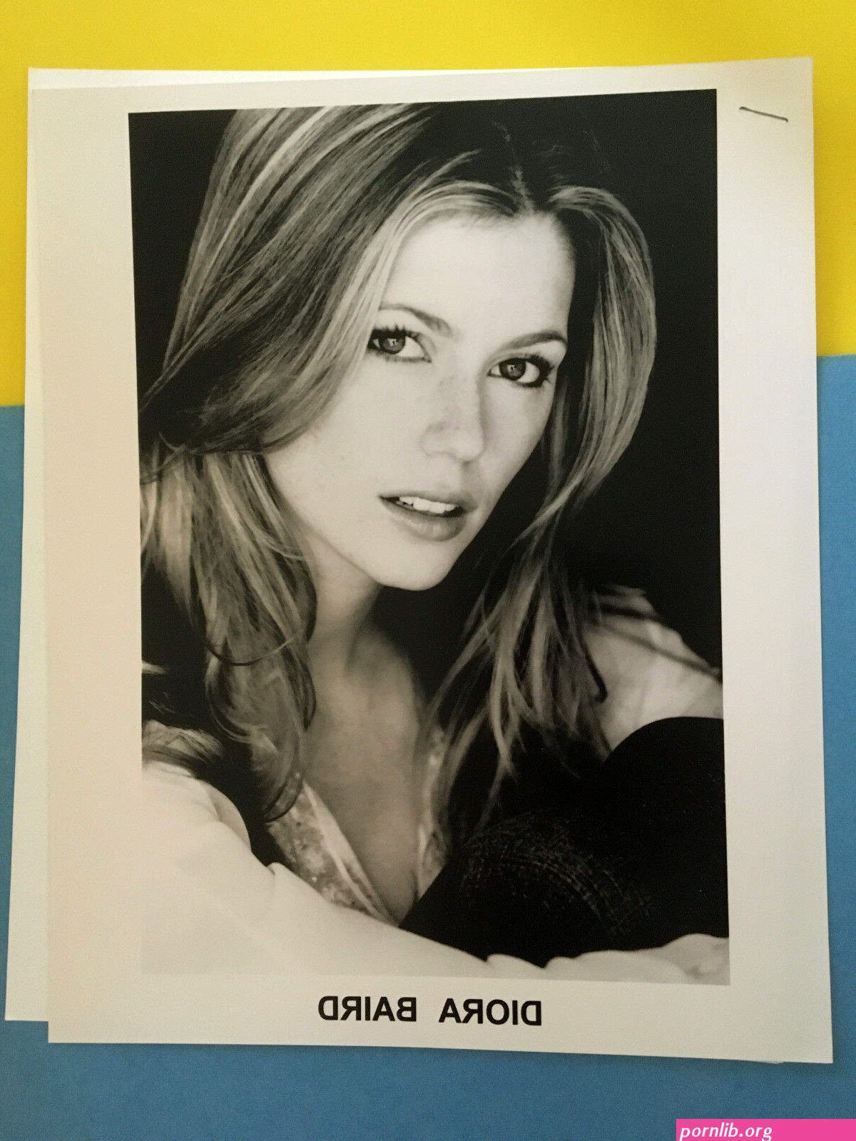 diora baird pack