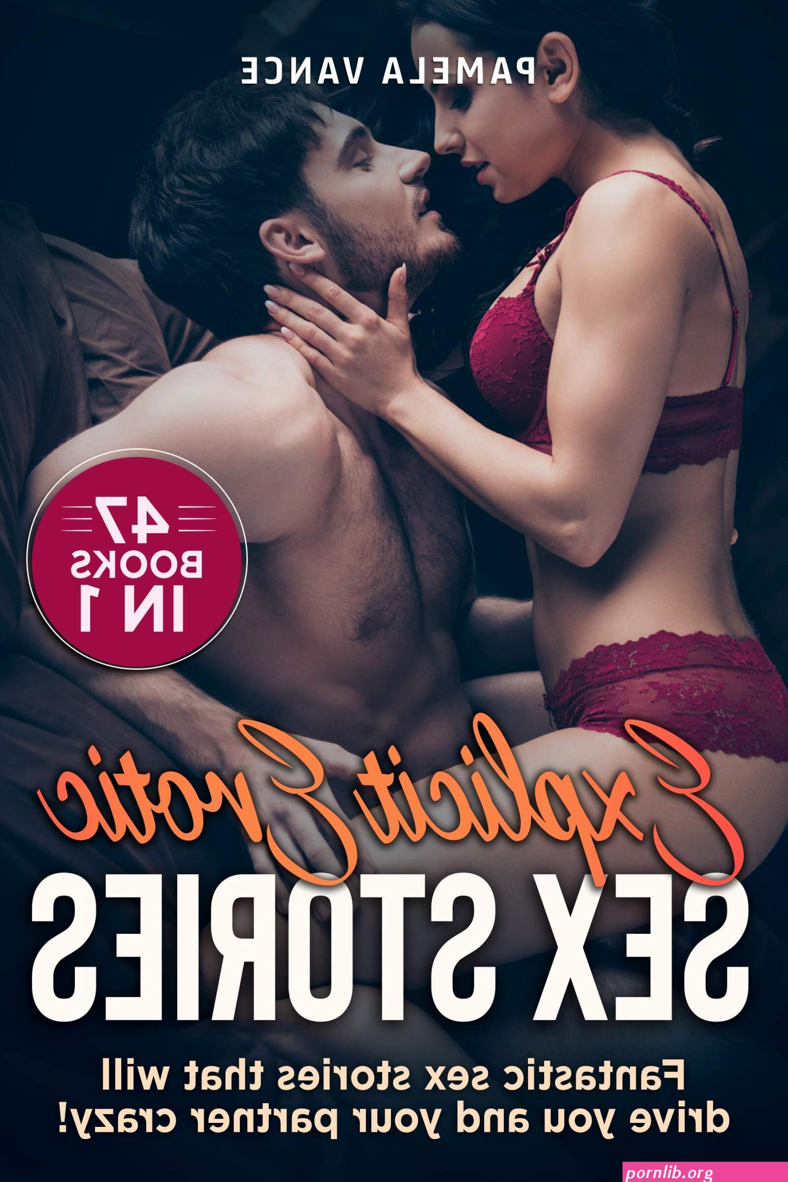 Explicit Erotic Sex Stories 47 Books in 1. Fantastic sex stories that will drive you and your partner crazy! di Pamela Vance
