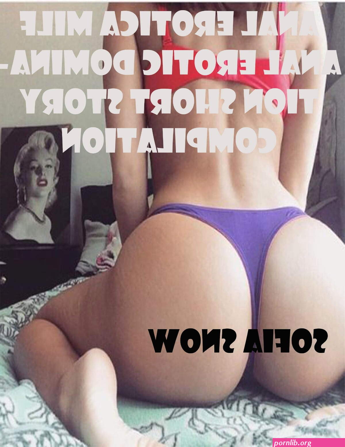 Anal Erotica Milf Anal Erotic Domination Short Story Compilation eBook by Sofia Snow