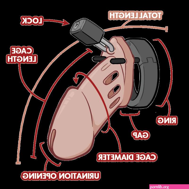 Beginners Chastity Cage Guide: How to Measure Choose a Material