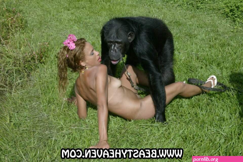 Mobile video monkey with woman porn