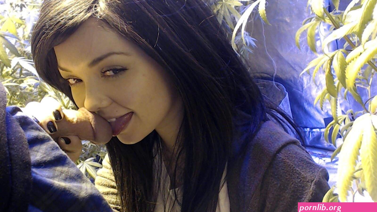 Soyacide Nude Leaked OnlyFans