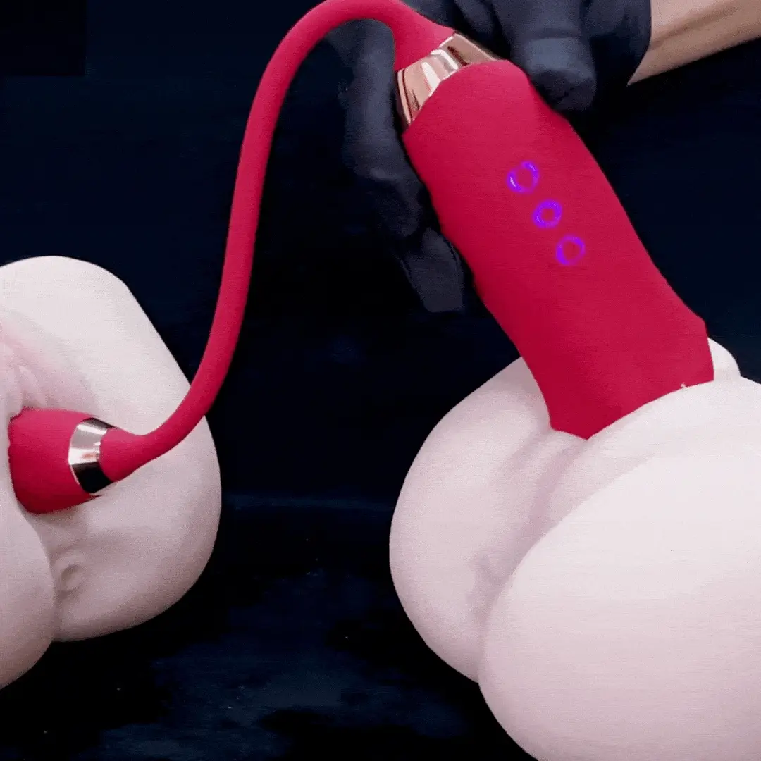 Nibbler Vibrator Mouth Master 3 in 1 Oral Vibrator