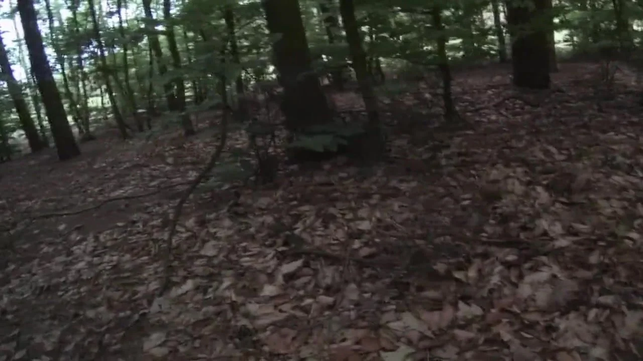 NAKED PUBLIC: Naked Forest Walk