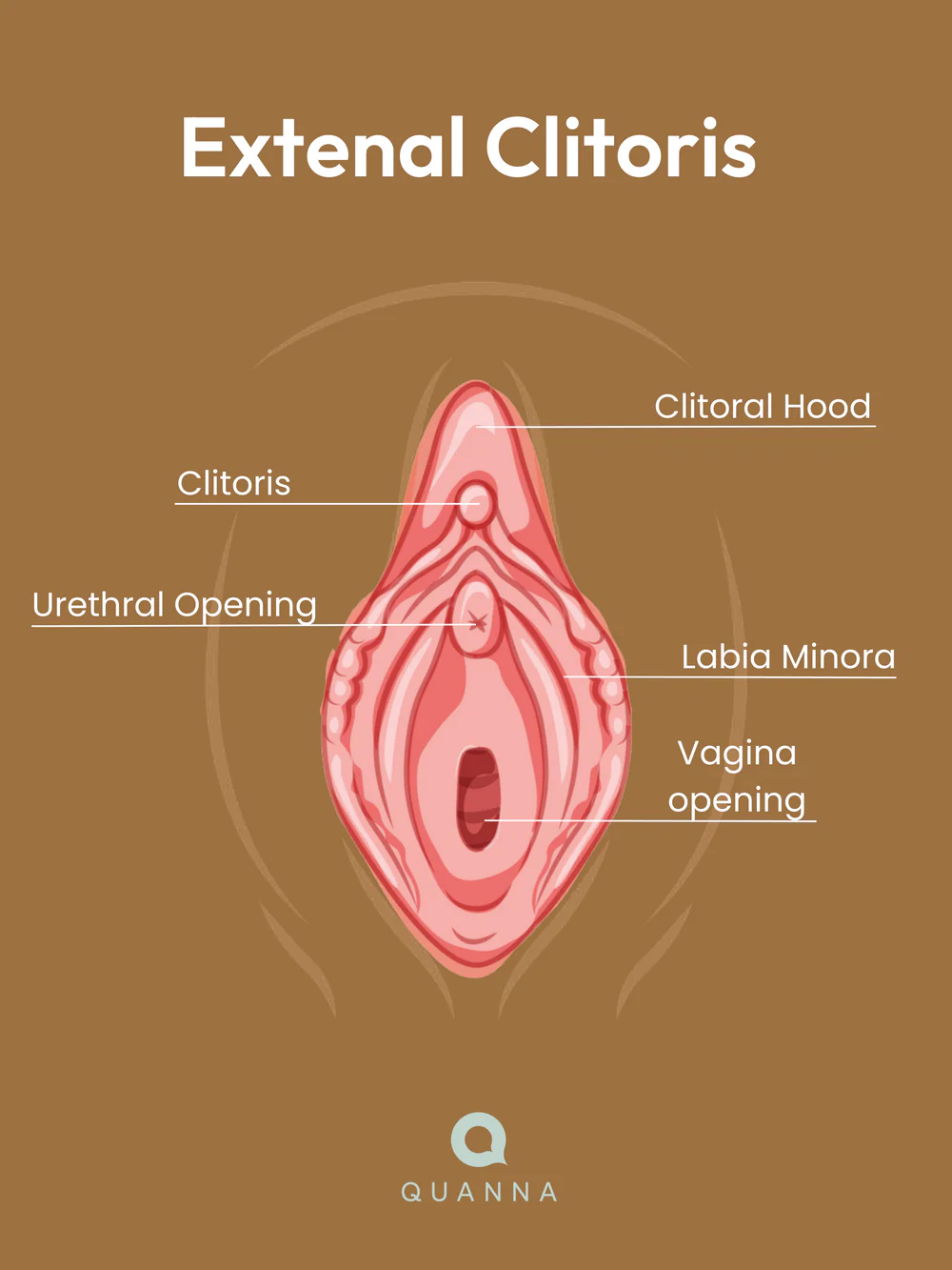 Learn How to Squirt: A Step-by-Step Guide by Our Sex Experts