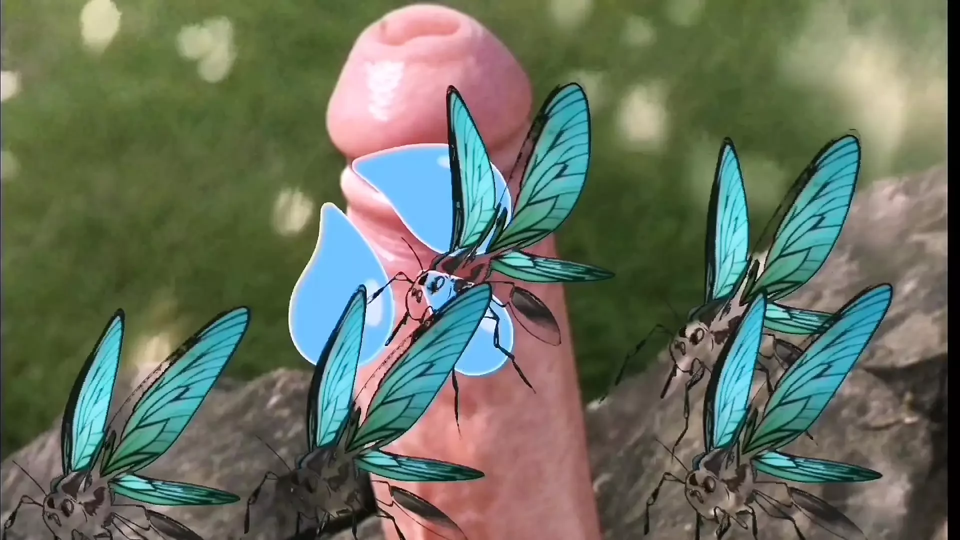 Dick Attracts Flying Insects: Mexican Cumshot Cumshot Porn