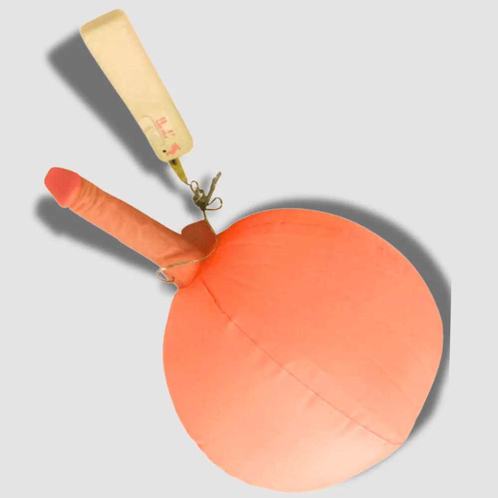 Inflatable Sex Ball with Dildo Vibrator 7 Inch