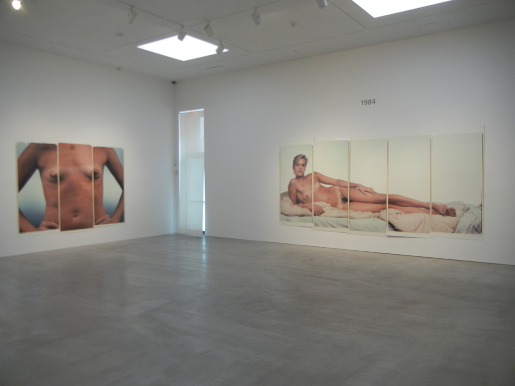Chuck Close: Nudes 1967-2014 Pace