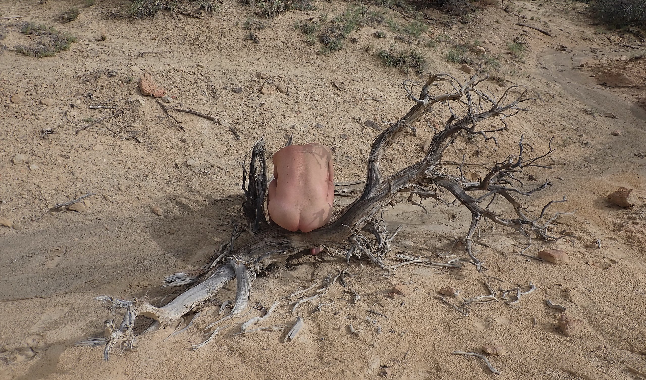 File:Nude and a dead tree.jpg
