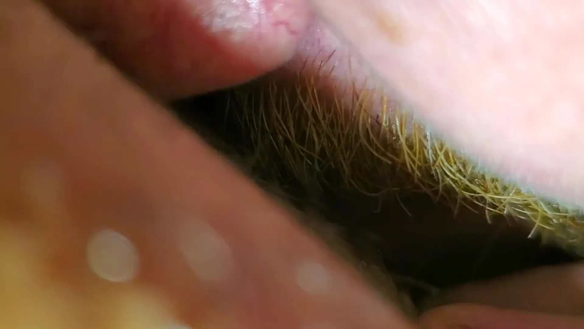 Free Black Girl White Guy Eat Pussy till Cougar Squirts Porn Video