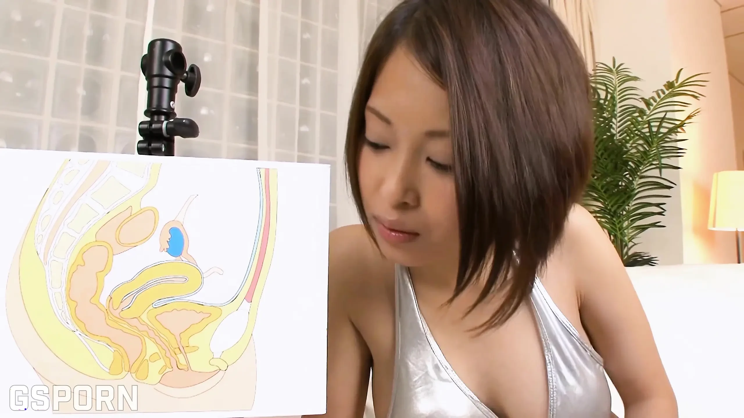 The Squirt Master Porn Videos