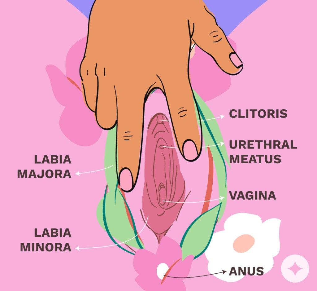 Vulva Masturbation Techniques: 8 Fun Ways to Masturbate NEW
