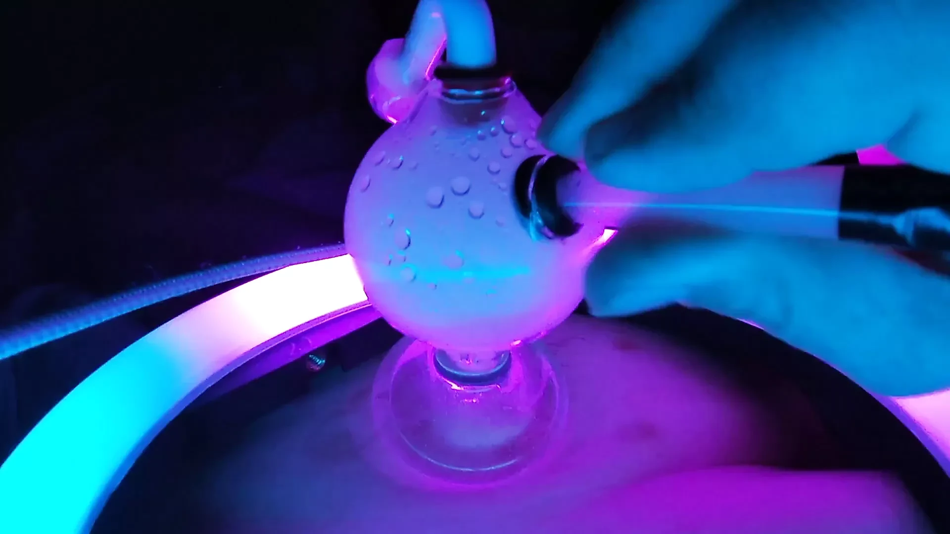 Gratis Beste Puffin Asmr Nudes pornivideos 2025