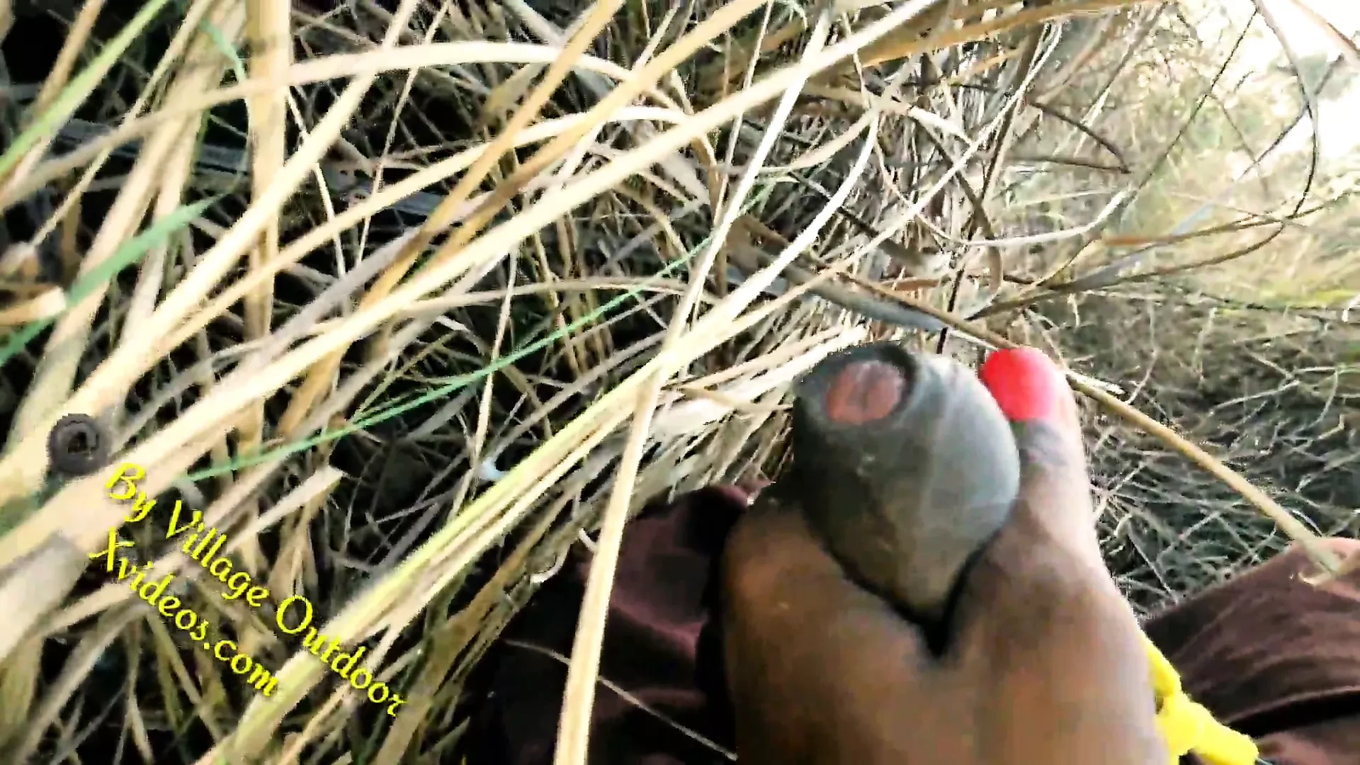 Indian Desi Couple Fucking Outdoors