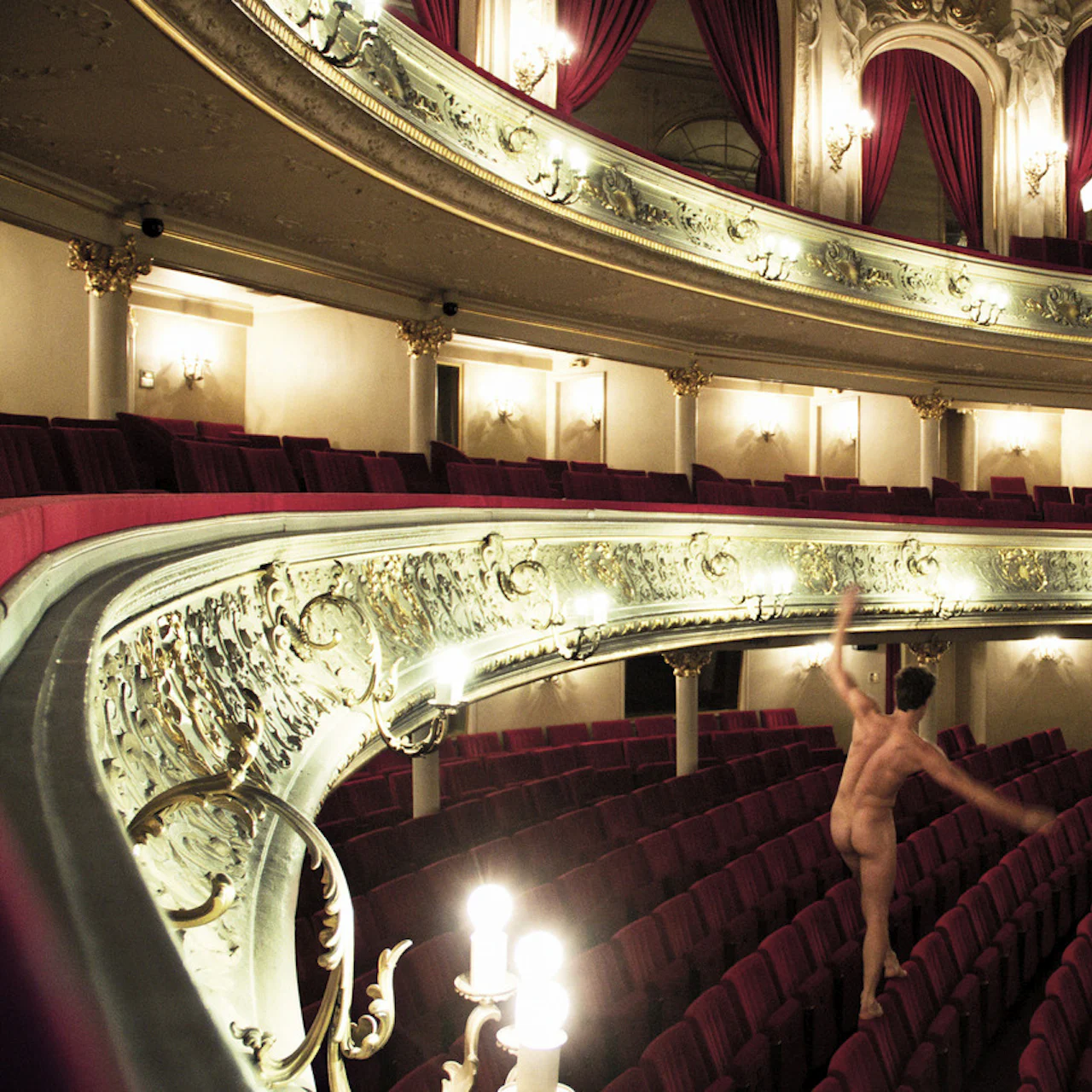 Read At the Vienna Opera House