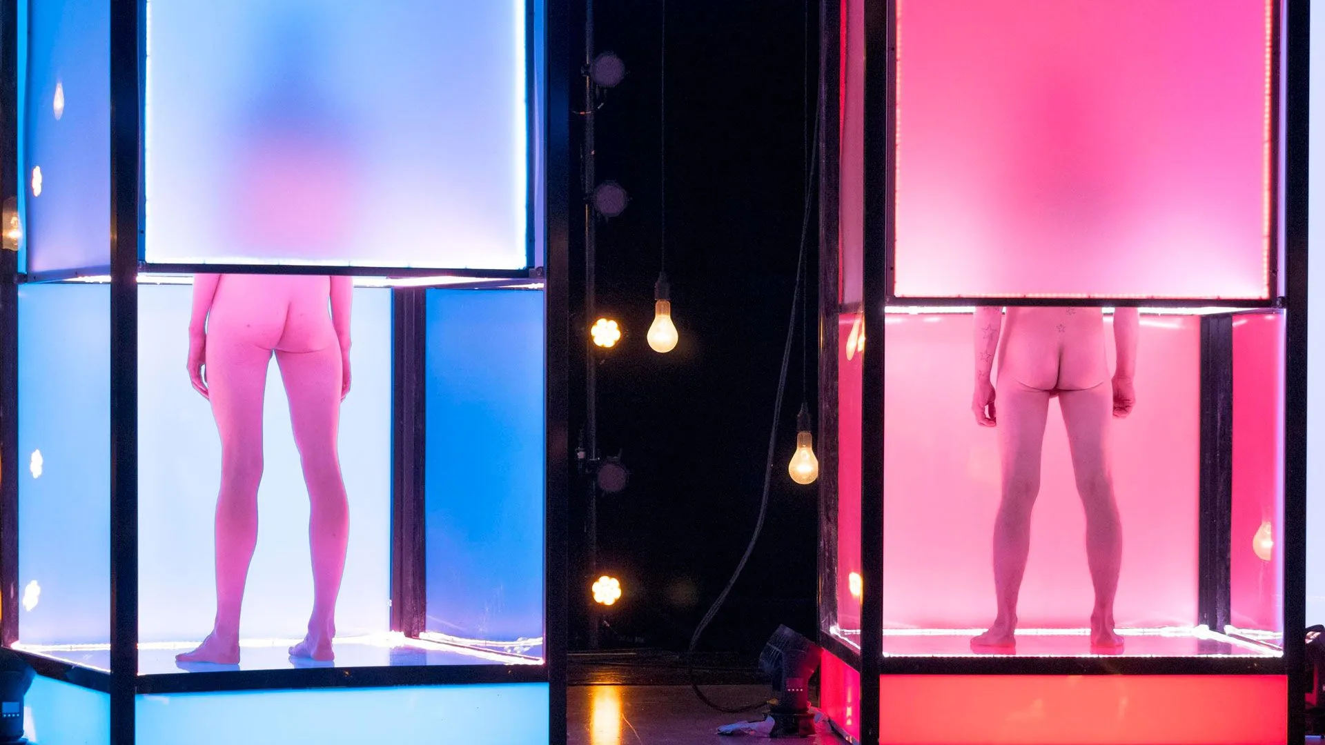 Naked Attraction: we write our first thoughts on Channel 4s new program Naked Attraction