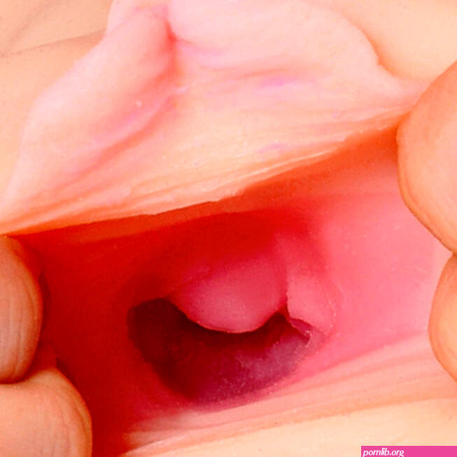 Buy the Fuck Me Silly To Go Horny Fuck Slut Ultra Realistic Vagina Mega Stroker Fanta Flesh Male Masturbator