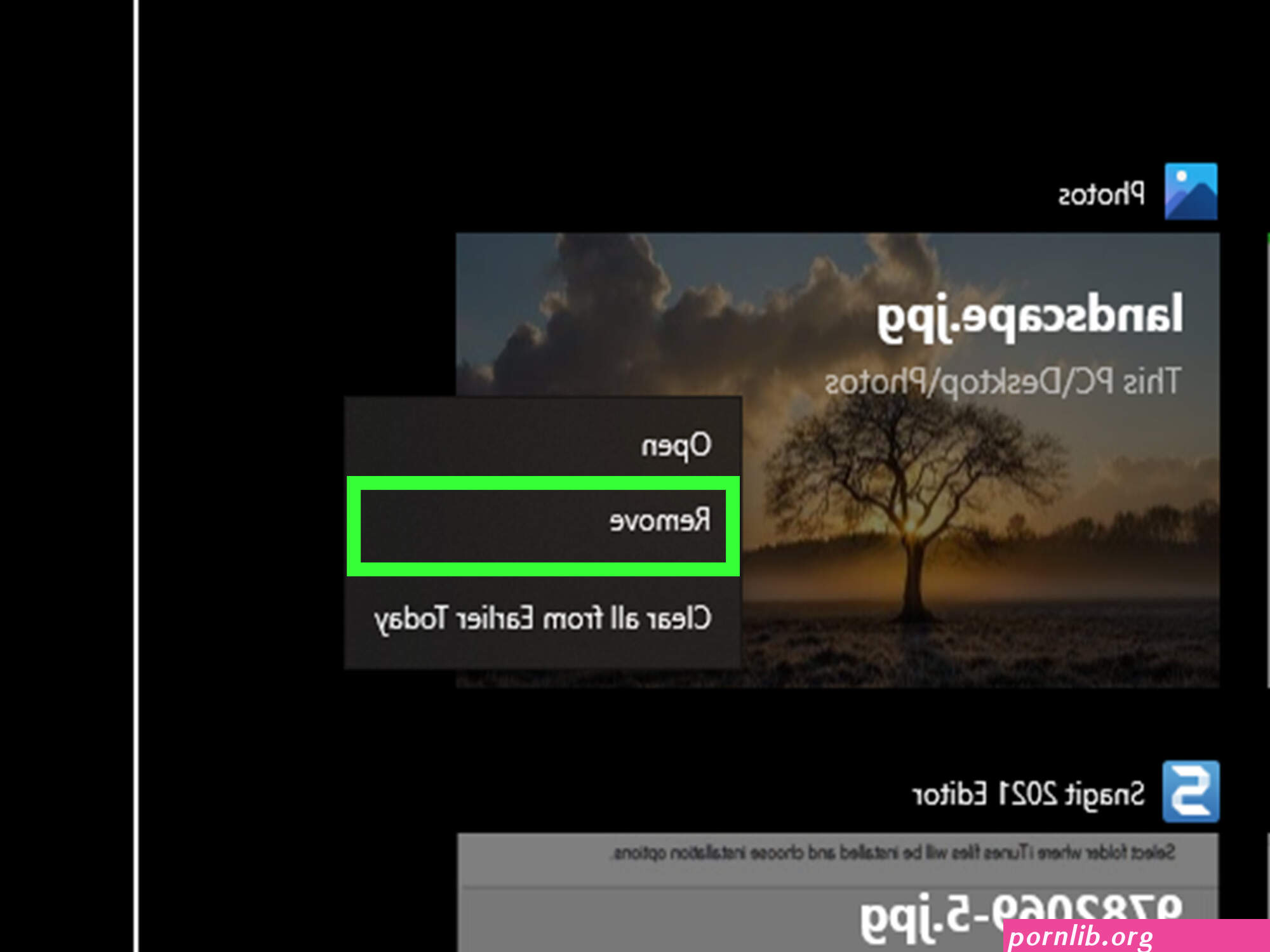 porn system