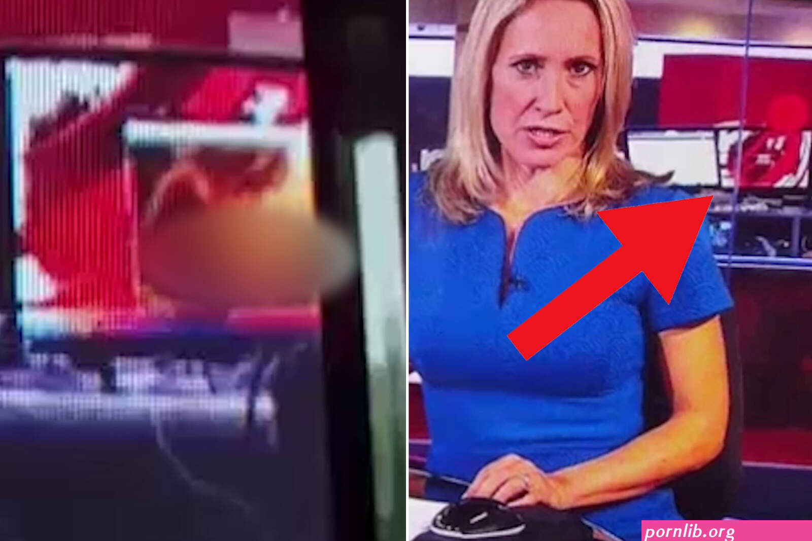 porn newsreader