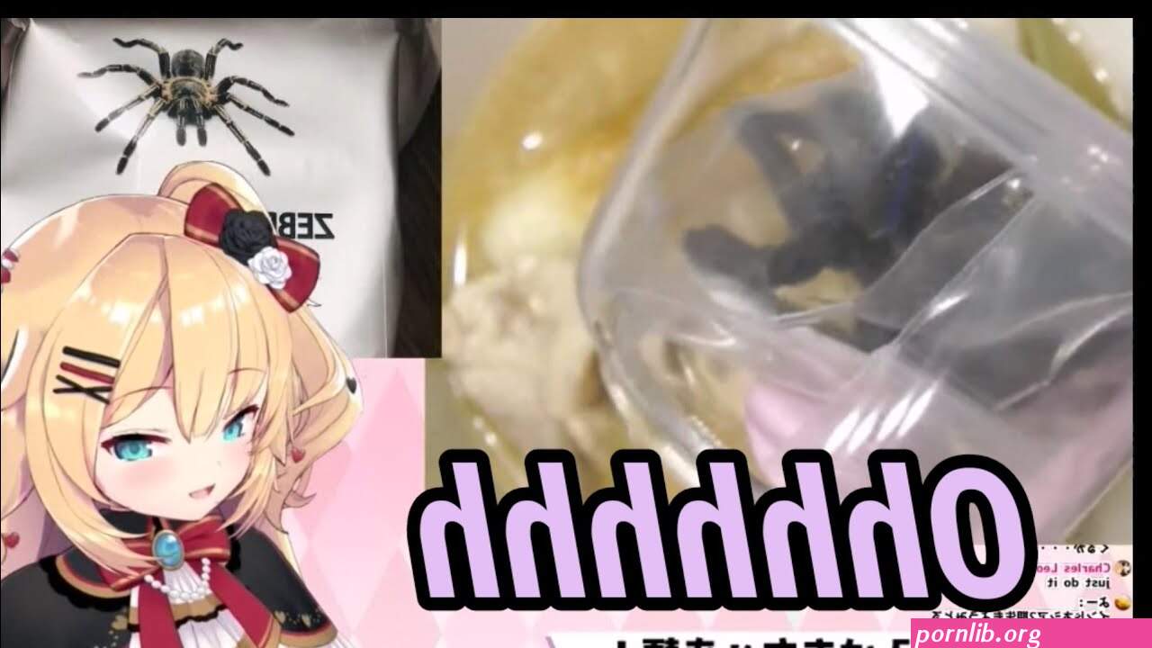 xxaishahausa