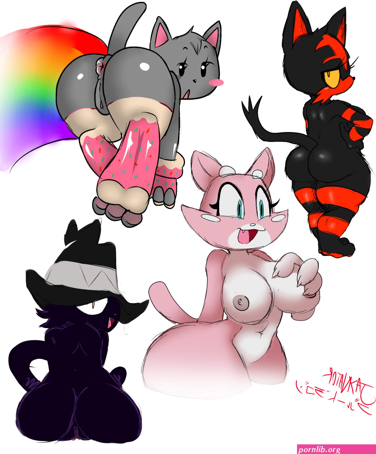 porn cat