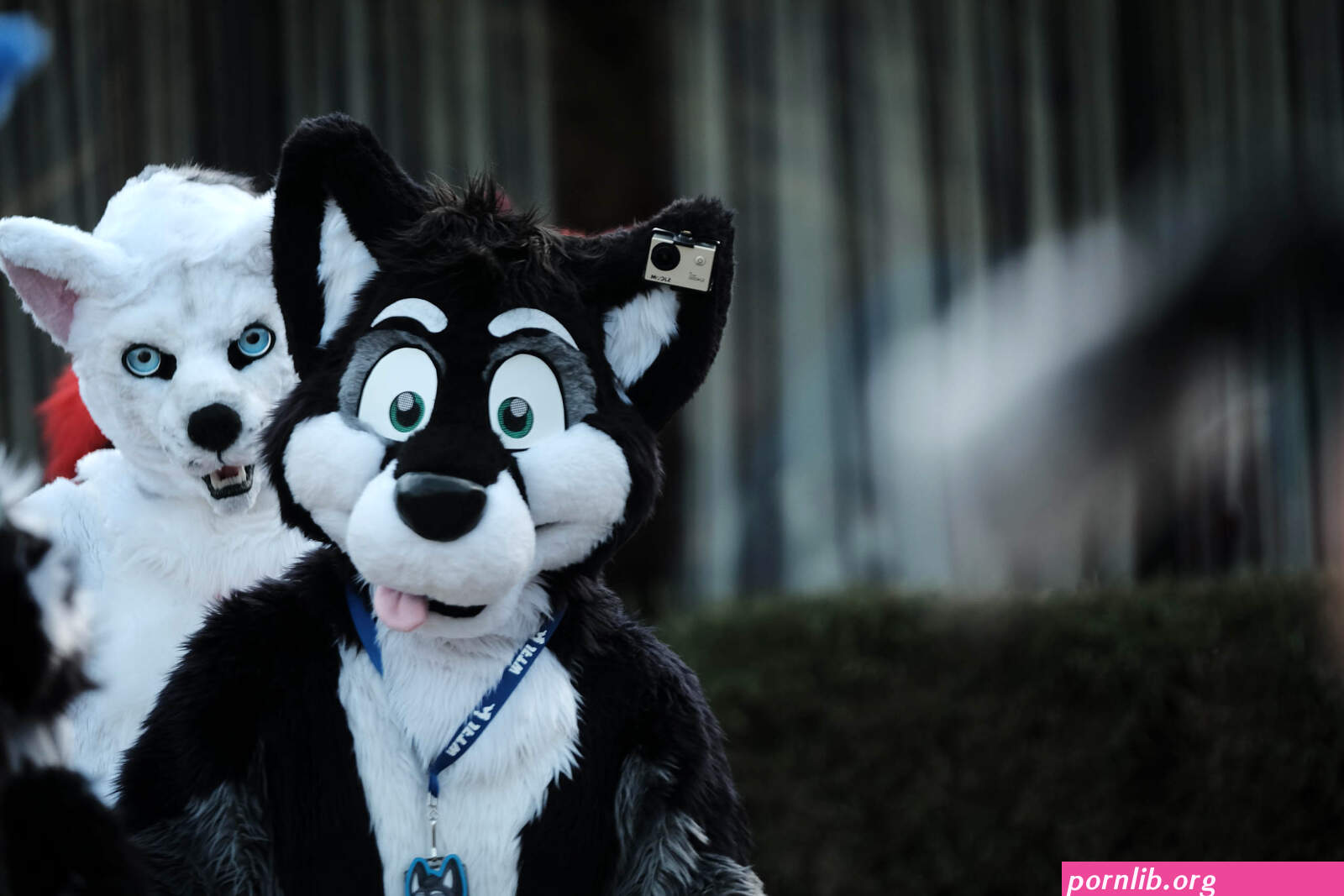 furry porn site