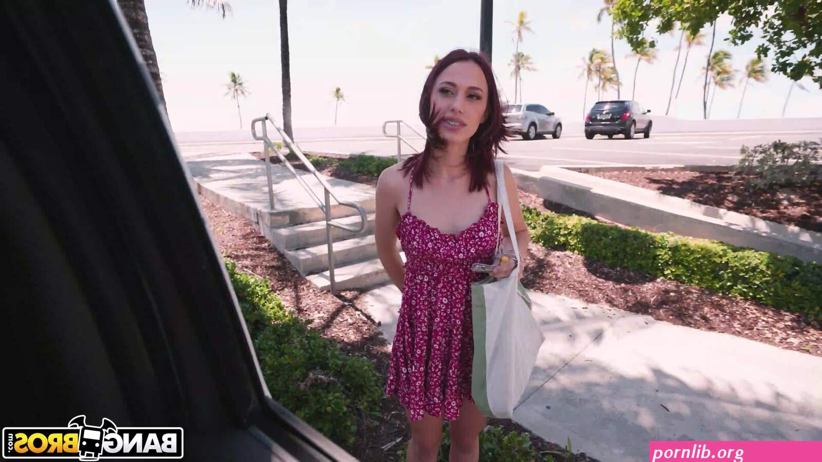 laya rae bangbus