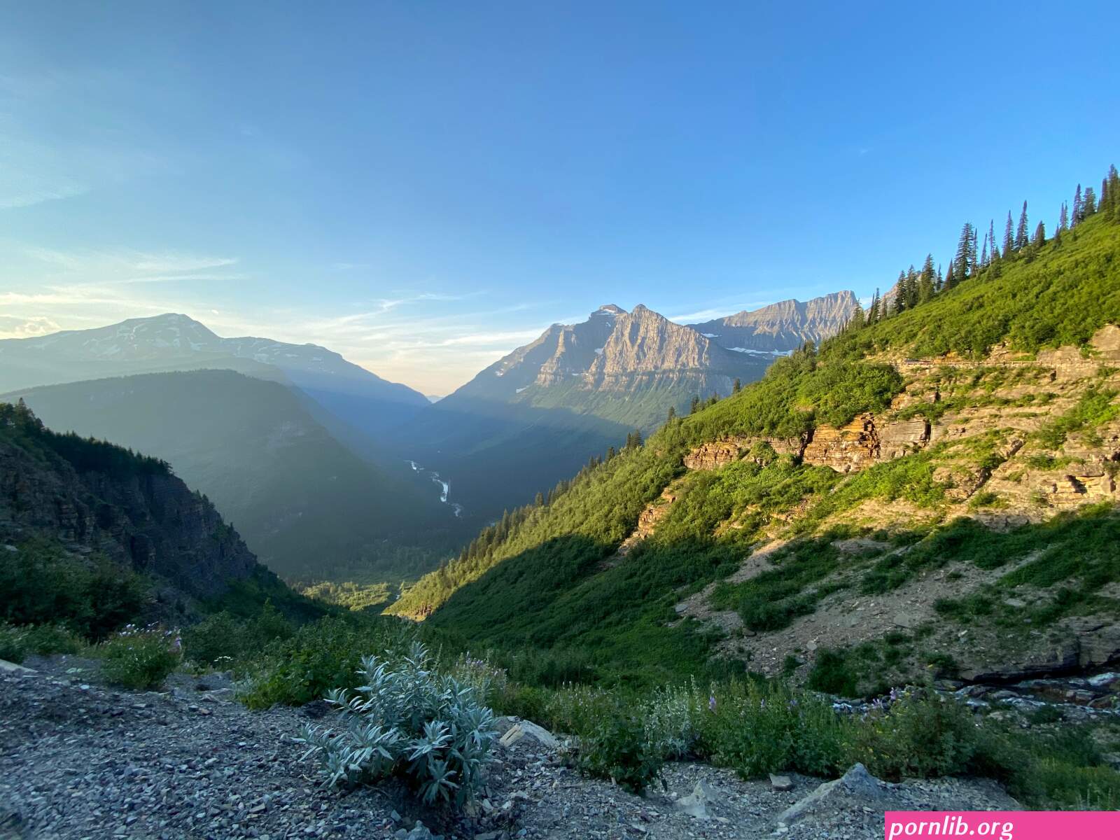 leviwranglerxxx