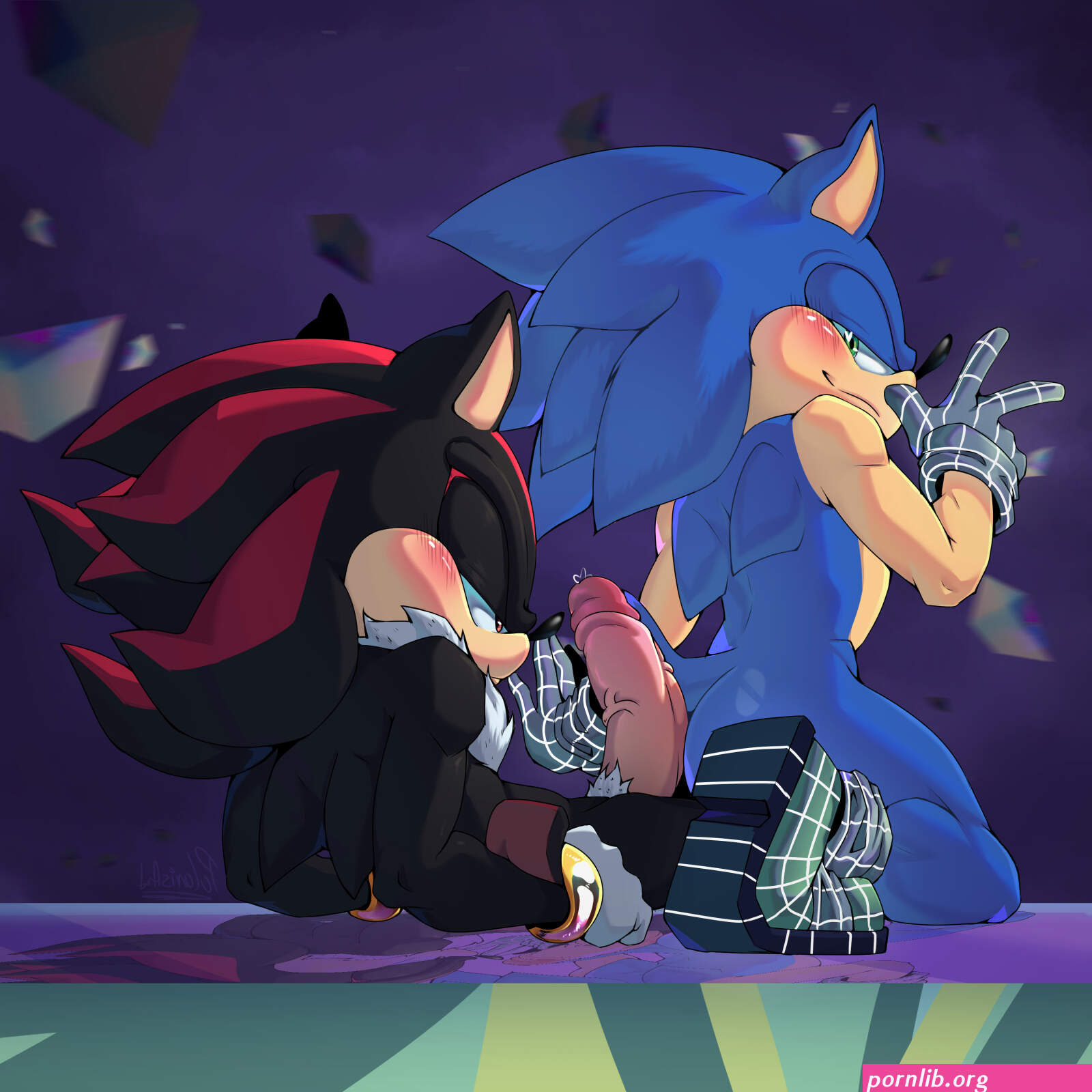 sonic the hedgehog porn