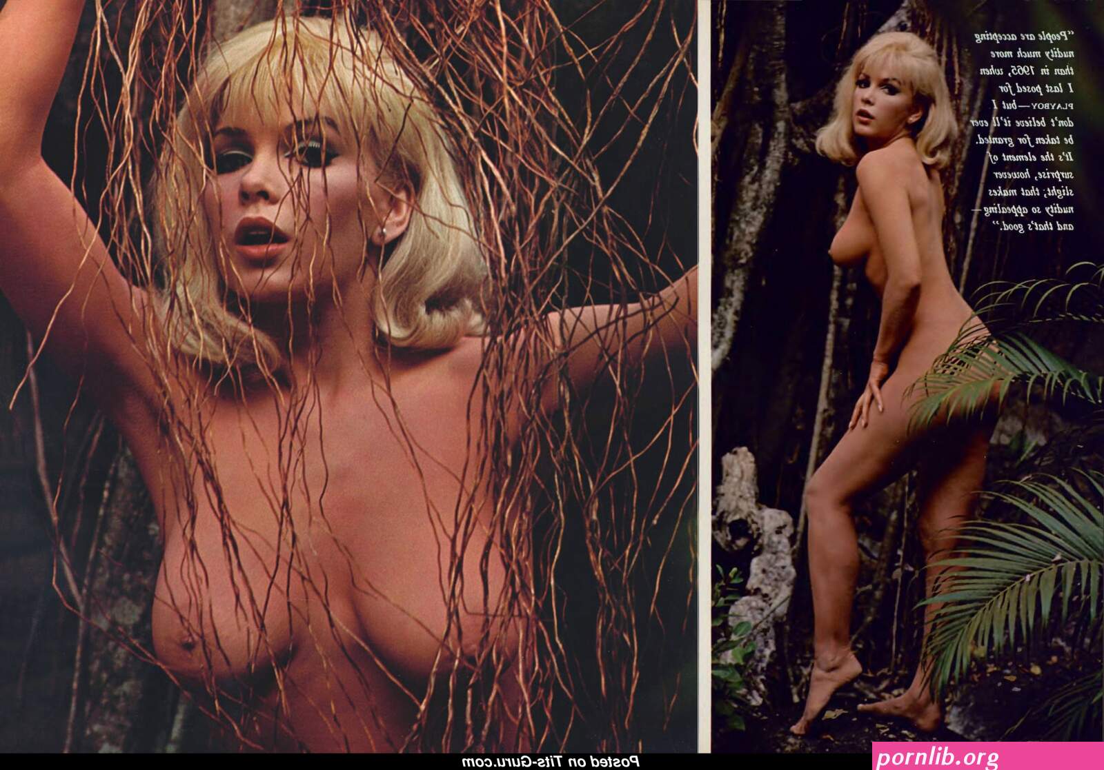 stella stevens naked
