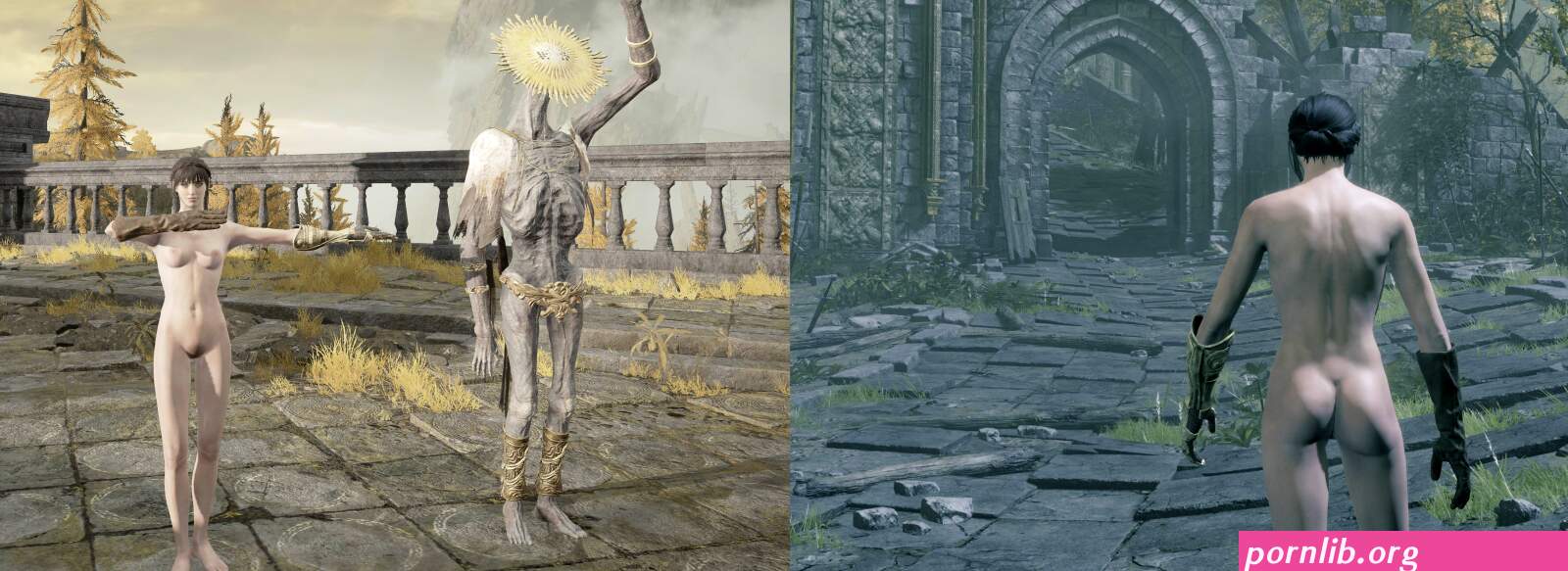 elden ring sex mod