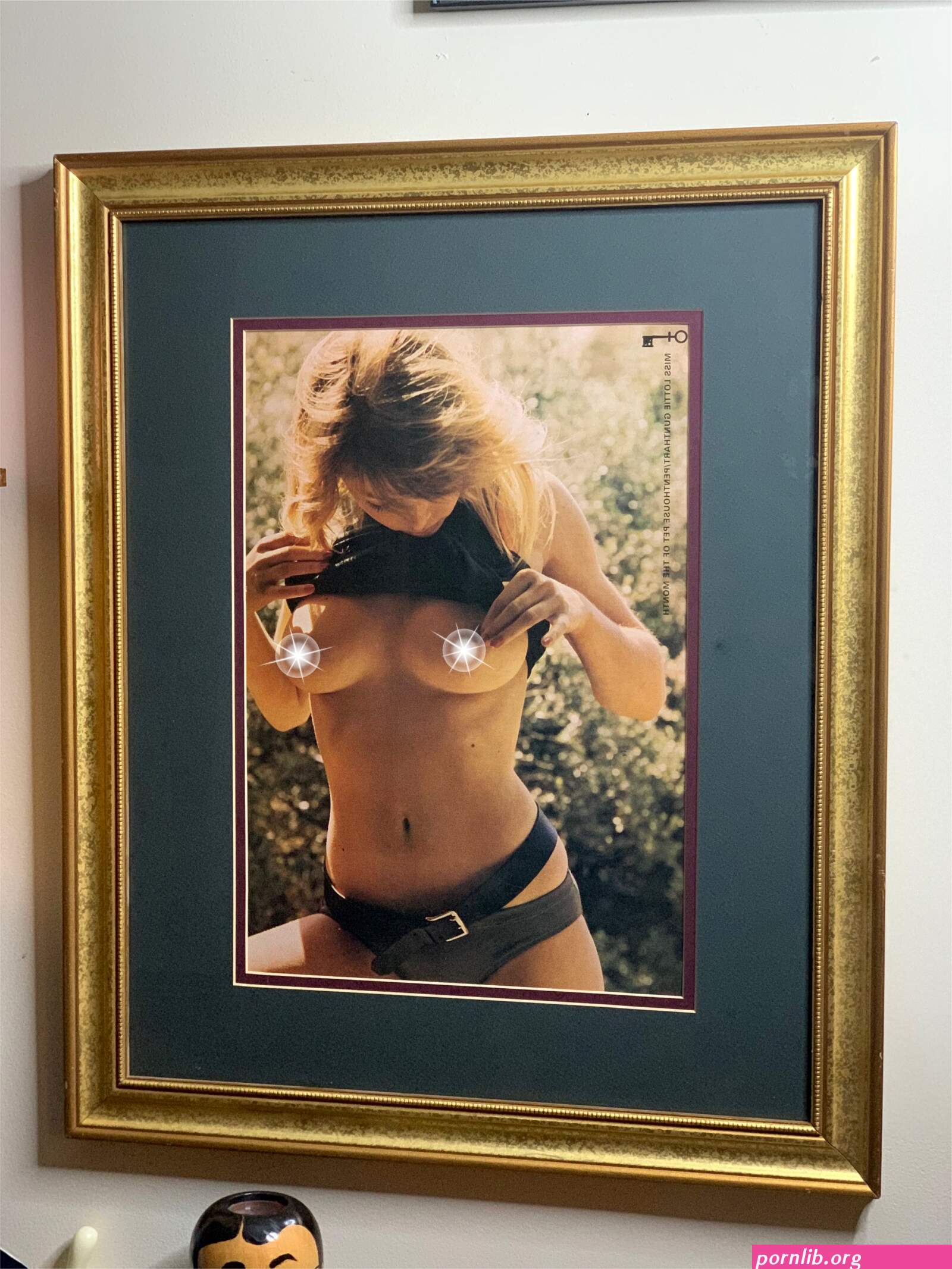 penhouse centerfolds