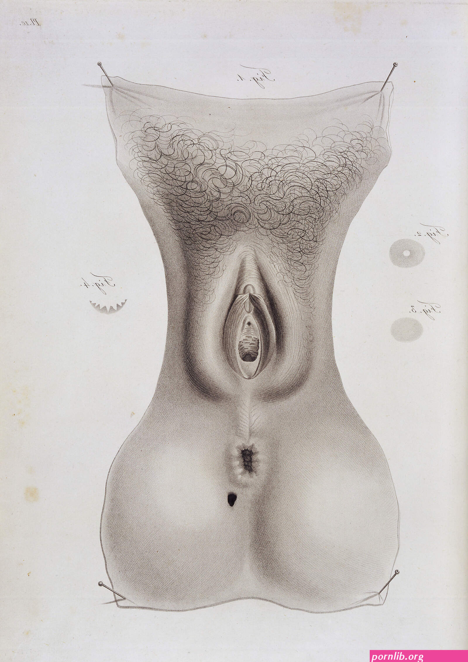 vagina pic