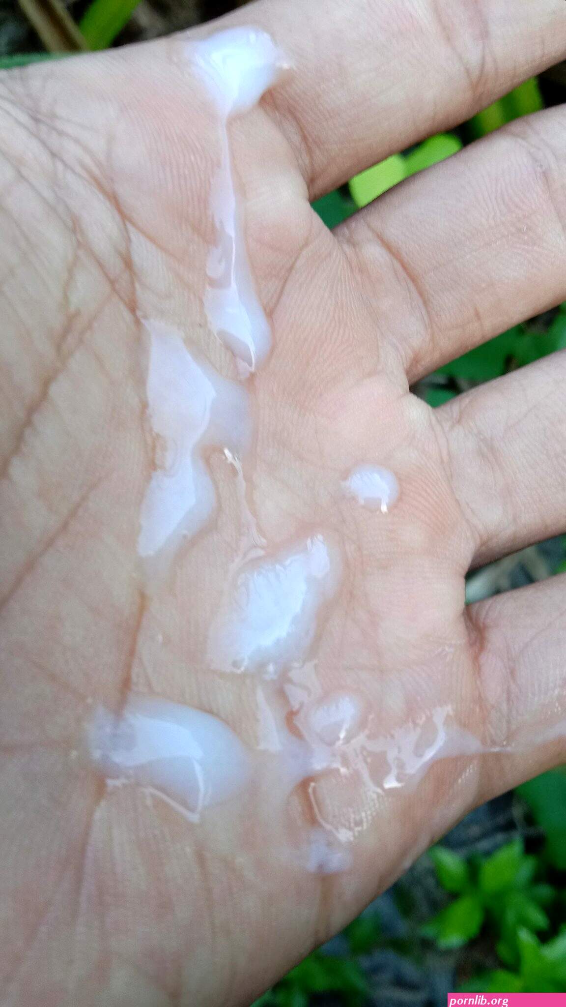 kontol bapak bapak lokal