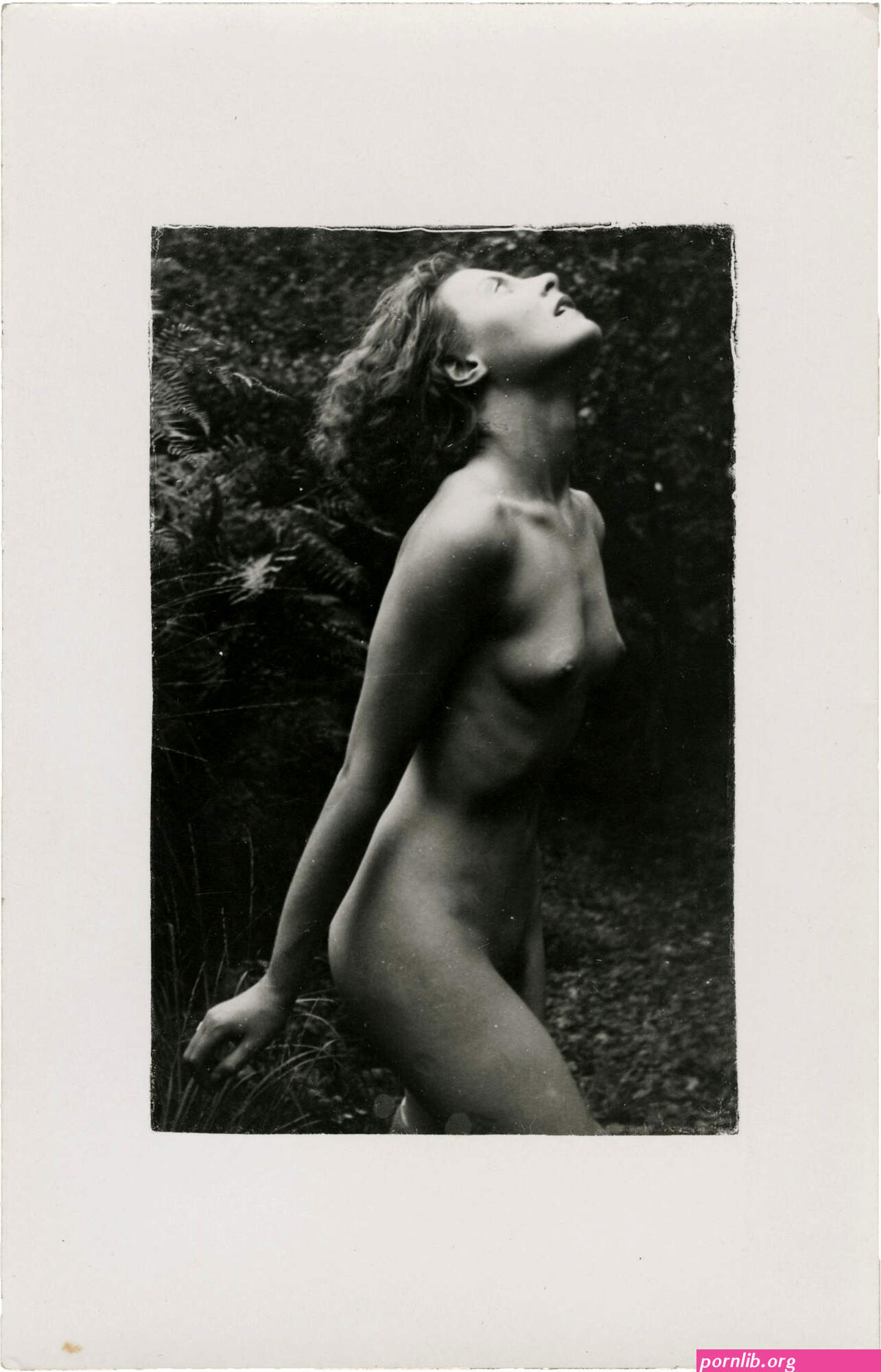 michelle morgan nude