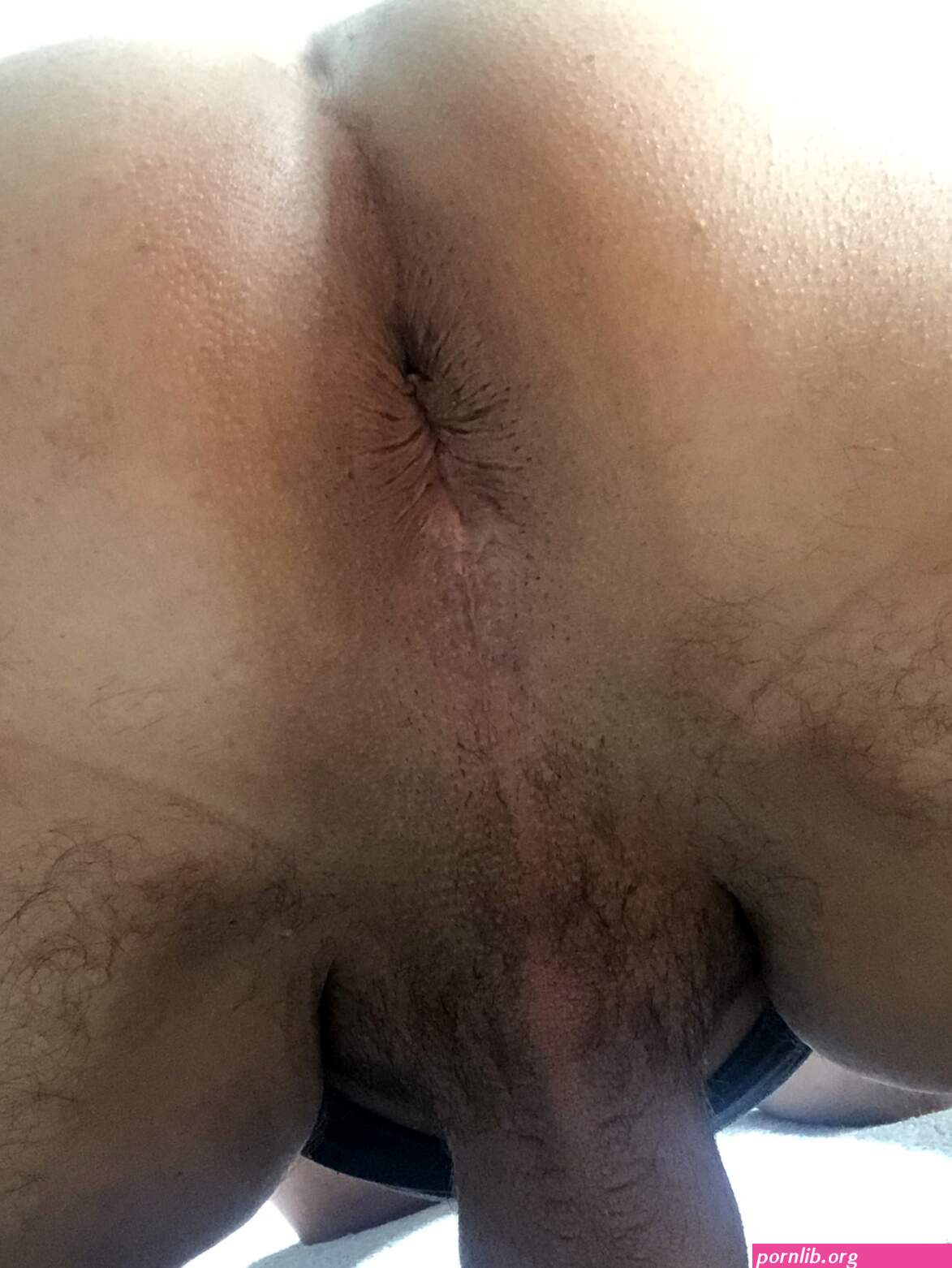 Asstube