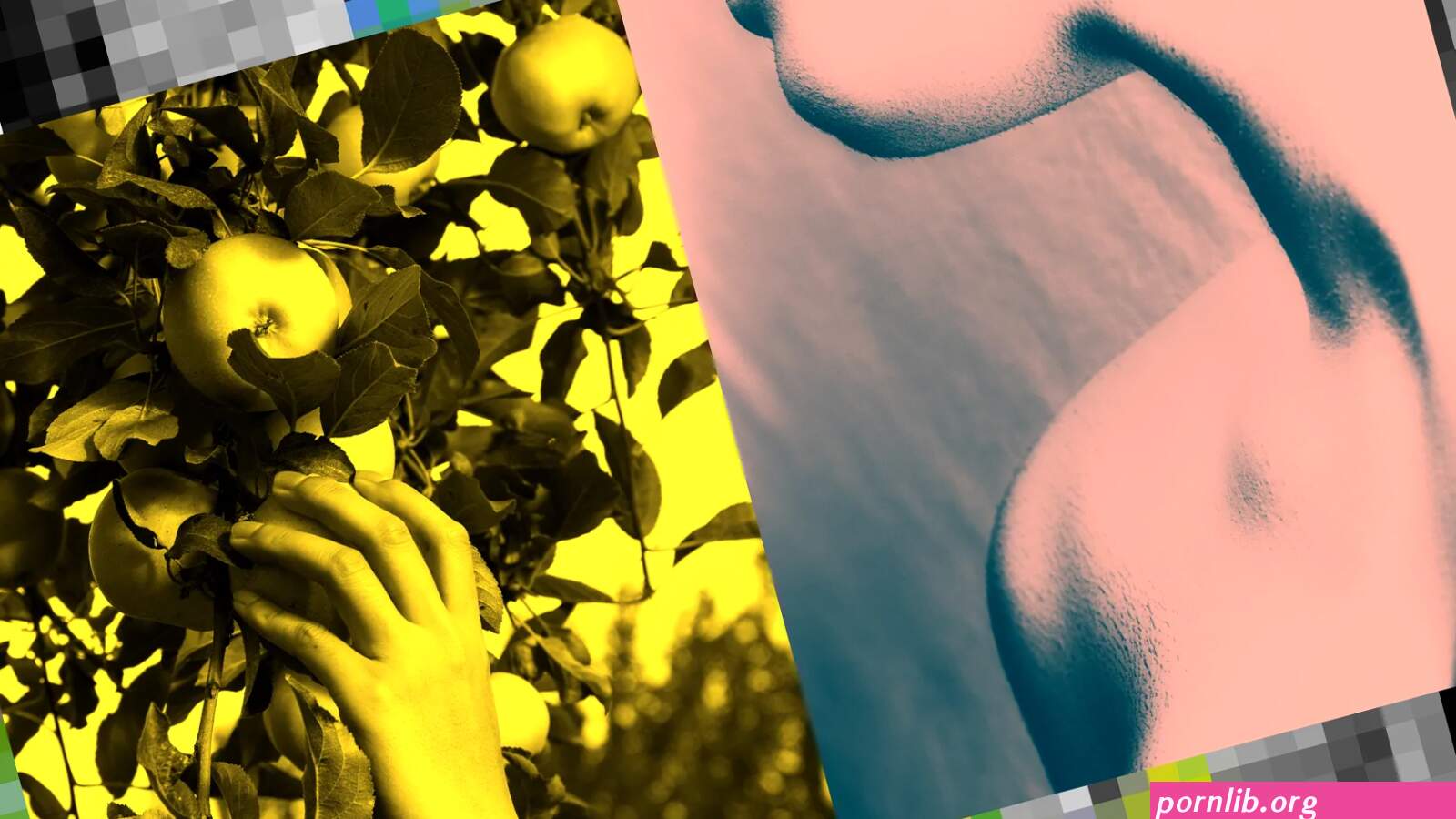 Deepfake porn application