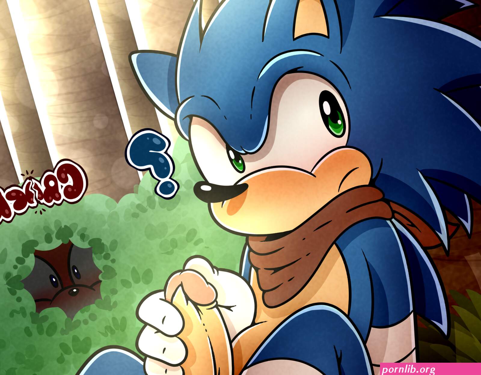 Sonic boom porn’