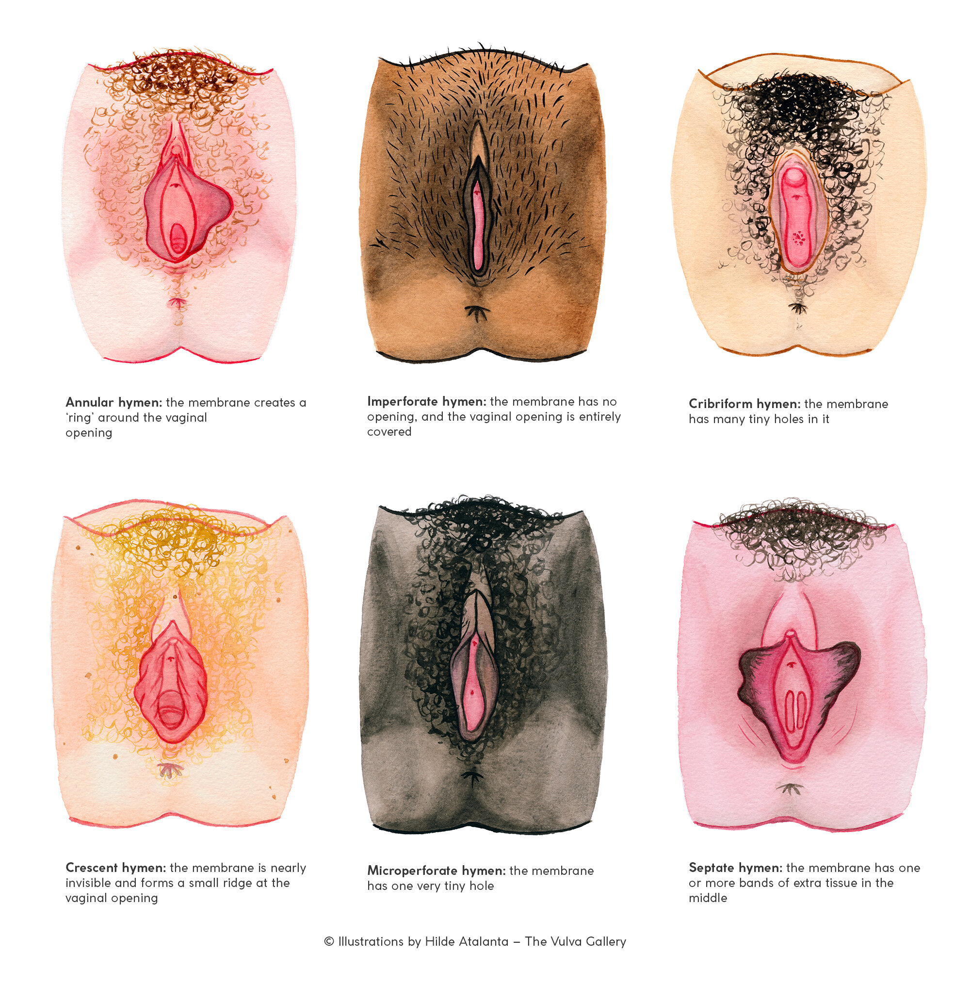 Porn: vaginal mouth pussy