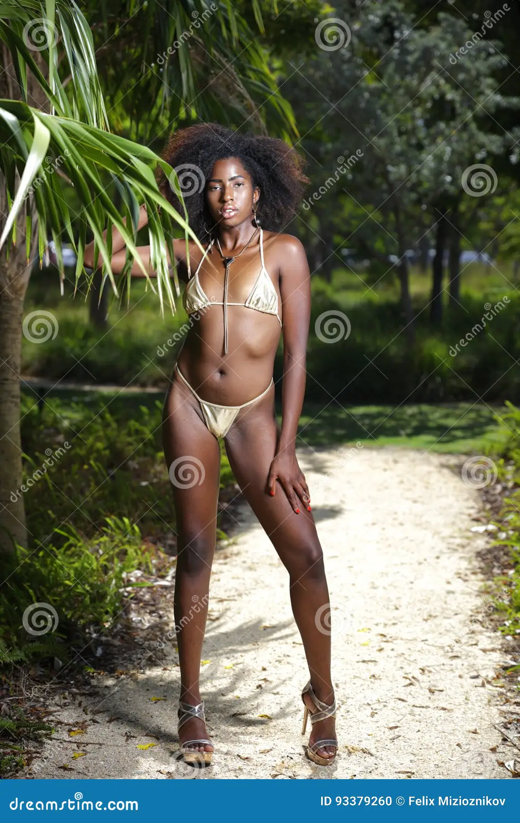 Porn: americana sexy