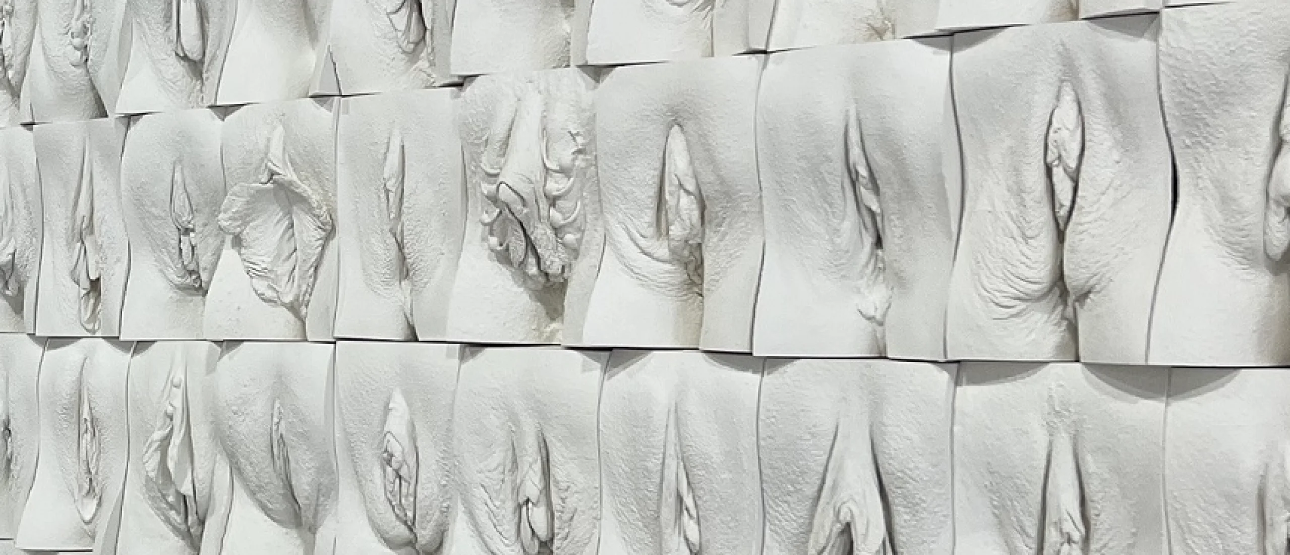 Porn: pussy wall