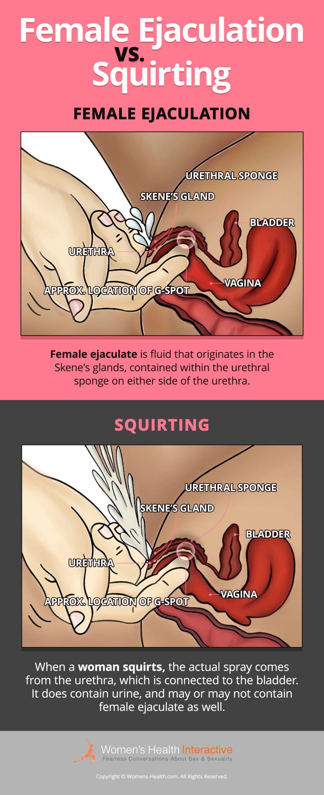 Porn: she squirt so much
