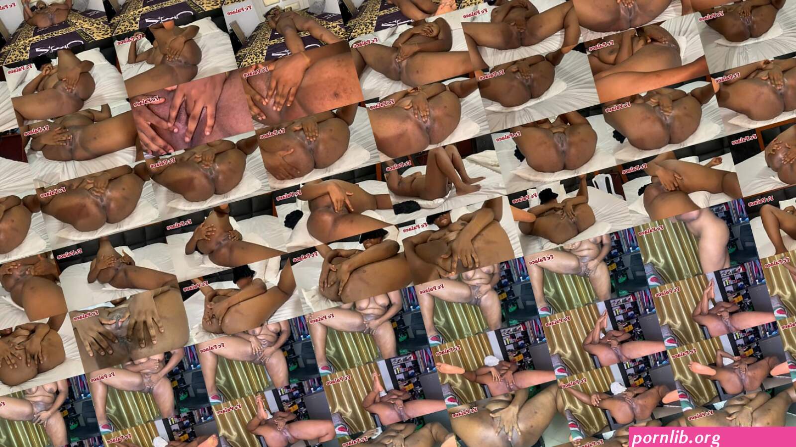 Porn: fucknicant palace