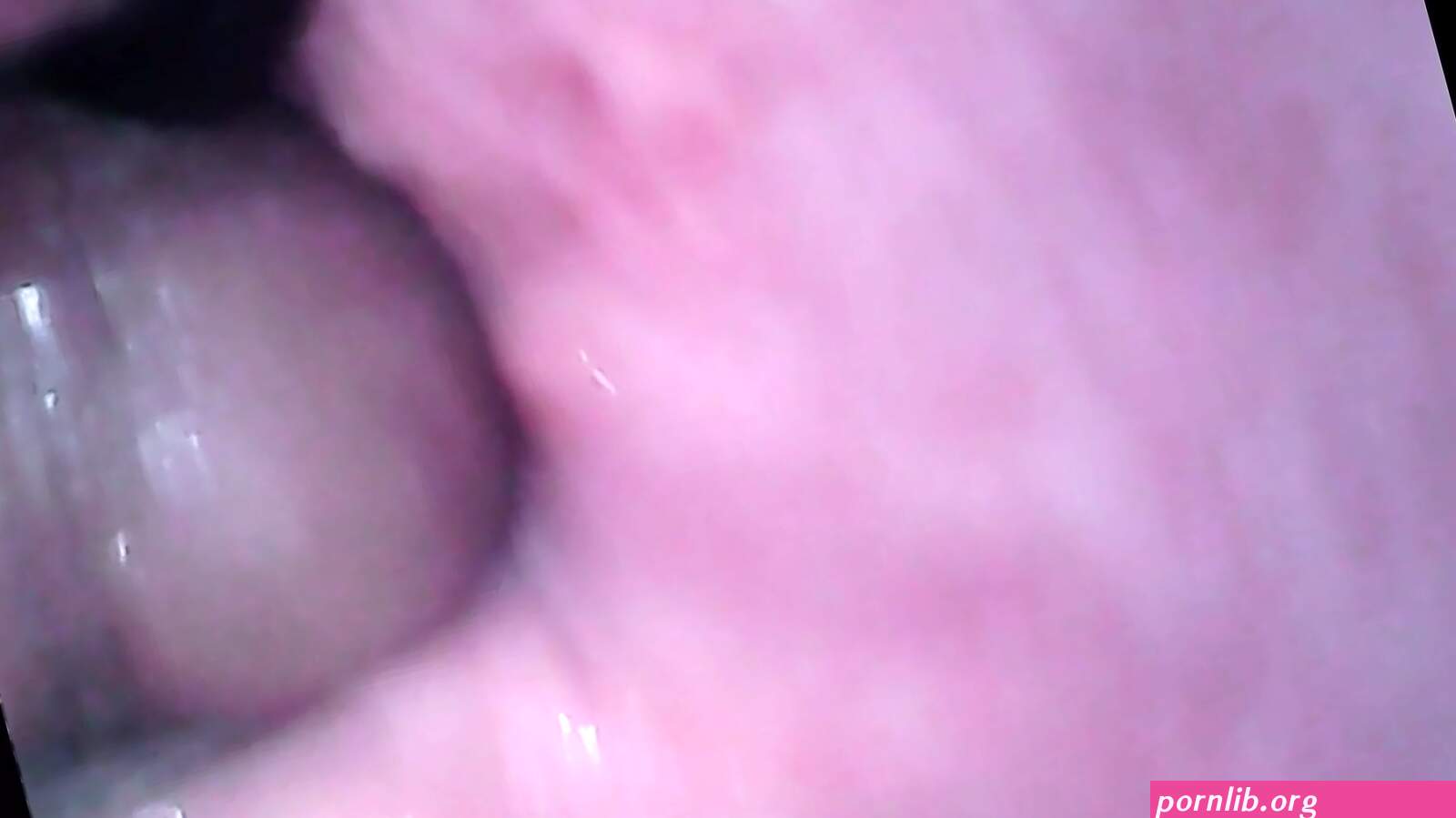Porn: pussy inside cam