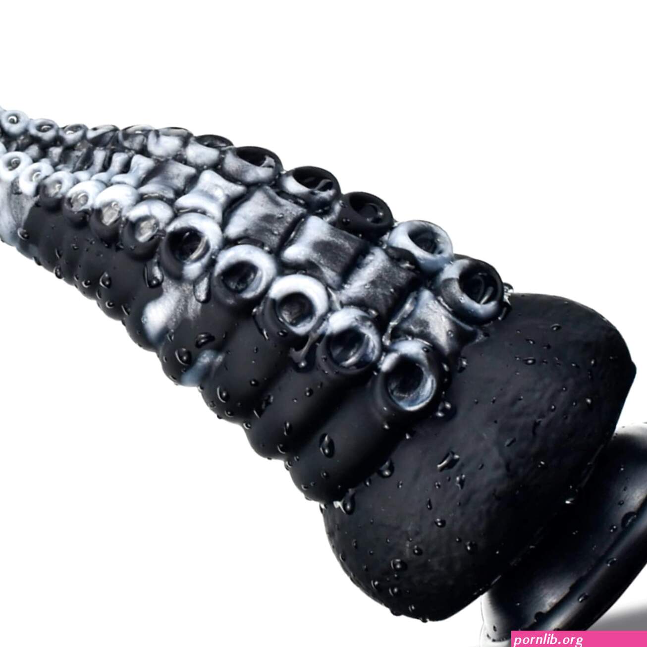 Porn: anal actopus
